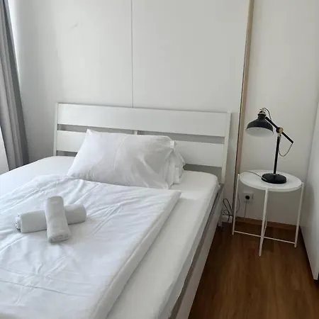 アパート Amazing Sunny Flat With A Big Terrace グラーツ