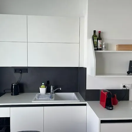 Апартаменты Amazing Sunny Flat With A Big Terrace Грац